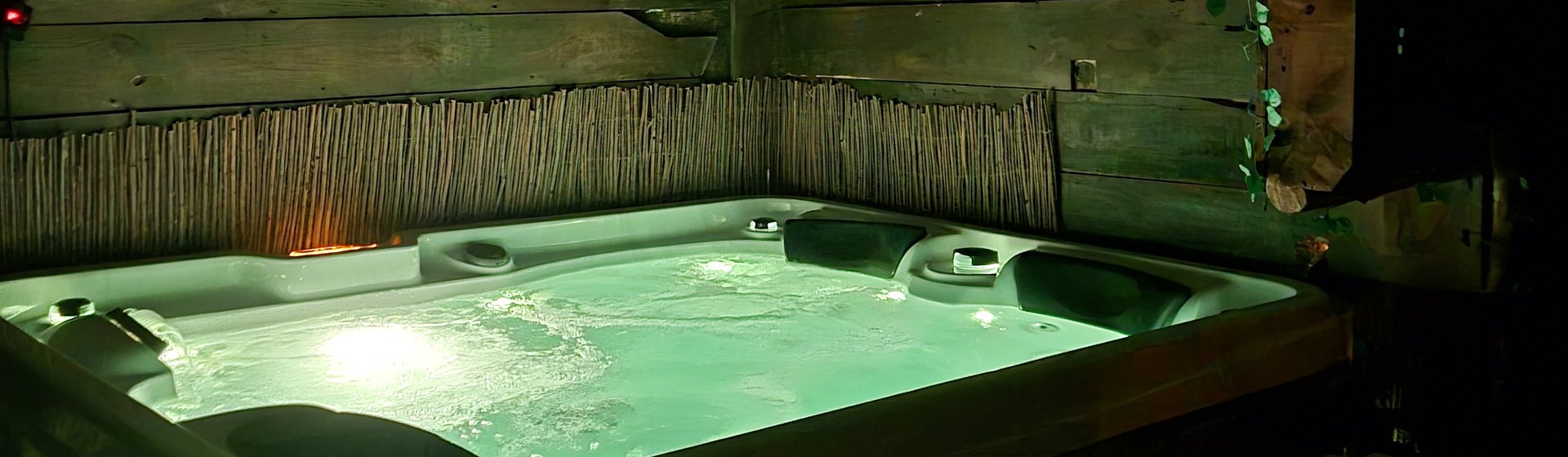 Le Bain de Jouvence de L'Auberge du Trône : jacuzzi privatif éclairé en vert sous un plafond végétal, décor médiéval en bois à Saint-Étienne